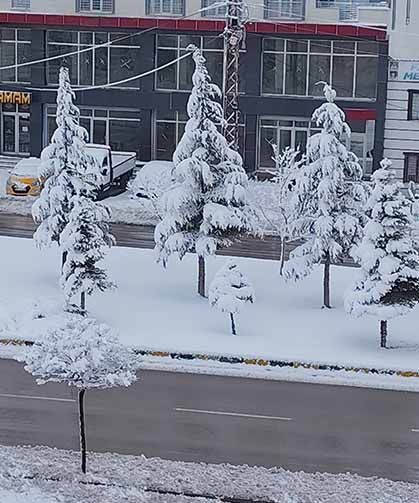 Erciş’te yoğun kar yağışı