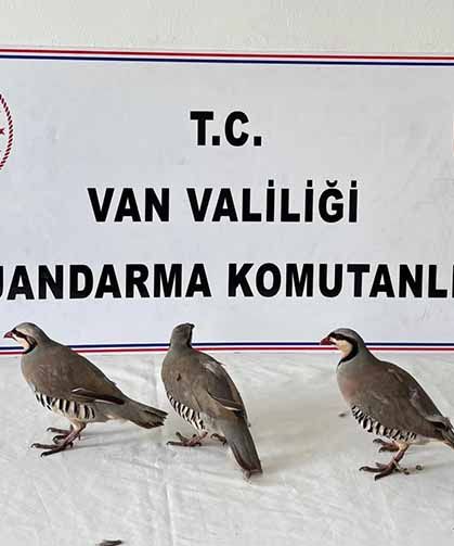 Van'da kaçak avlanmaya büyük ceza!
