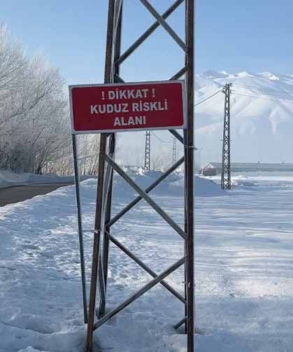 Yüksekova'da kuduz vakası