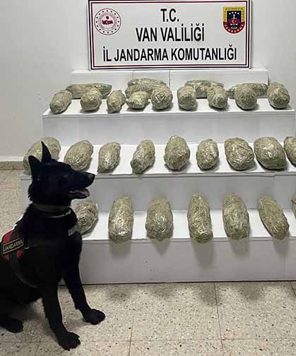 Başkale’de 21 kilo 350 gram skunk ele geçirildi