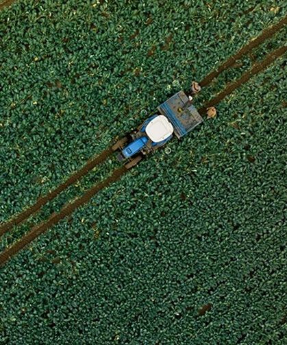 Son dönem yağışları tarımsal üretime olumlu yansıdı