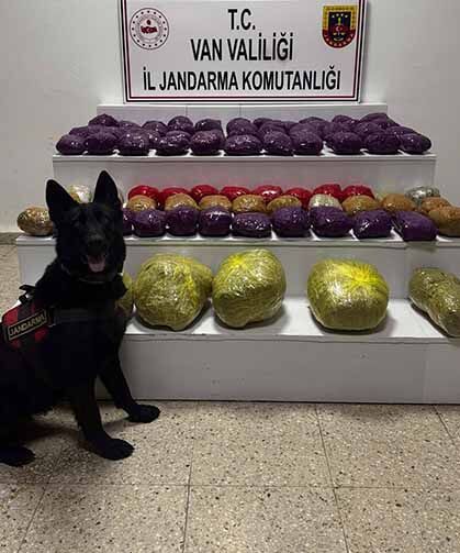 Van'da 31,5 kilo uyuşturucu ele geçirildi