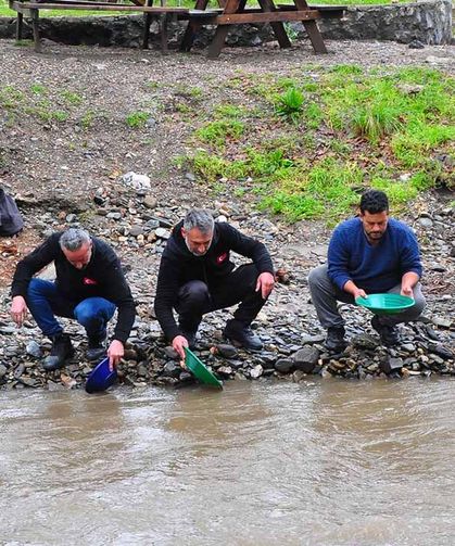 Altın avcıları derede altın aradı
