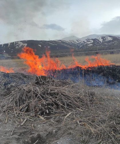 Van'ın Gevaş ilçesinde anız yangını