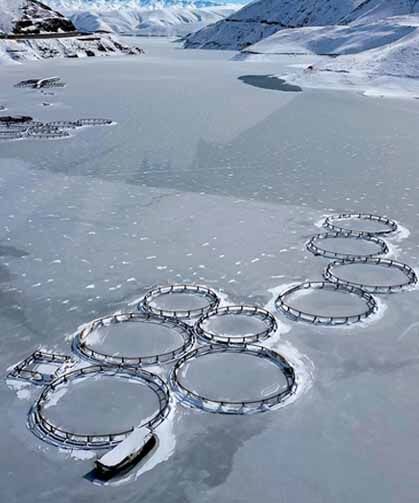 Van'da etkili olan yağışlar barajların doluluk oranını artırdı