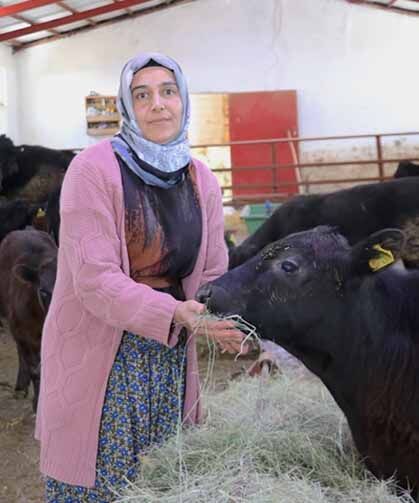 Van'da kadın çiftçi 5 ayda hayvan sayısını ikiye katladı