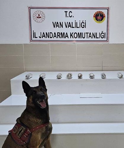Van’da uyuşturucu madde ele geçirildi