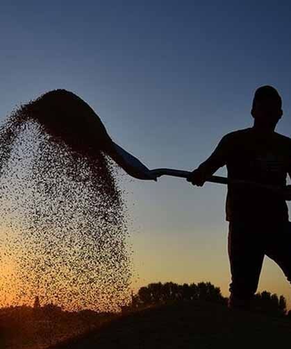 Çiftçilere yaklaşık tarımsal destekleme ödemesi bugün yapılacak