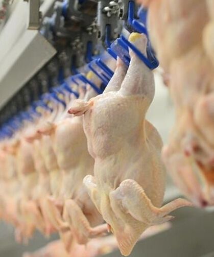 Bayram öncesi tavuk fiyatları yükseldi: 48 saatte yüzde 25 zam