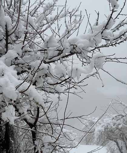 Hakkari’de 82 yerleşim yerinin yolu kapandı
