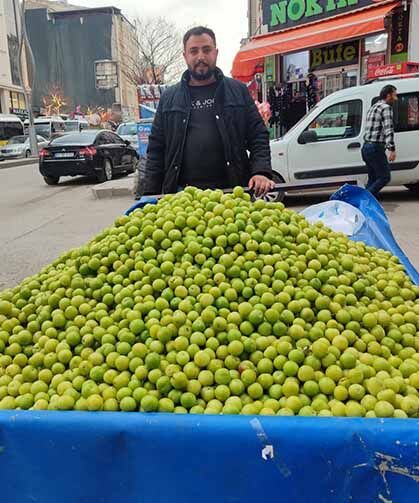 Van’da can erik tezgahlardaki yerini aldı