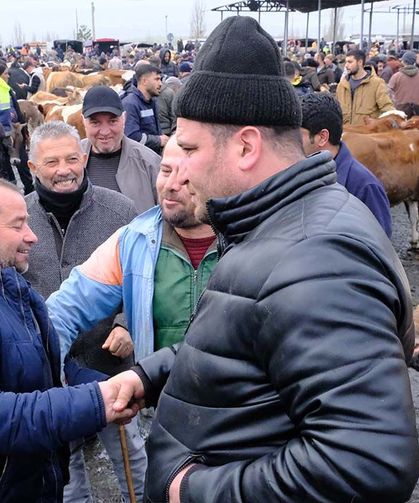 Canlı hayvan pazarında yoğunluk
