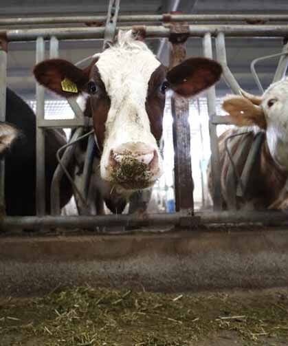 Çiftçilere 350 milyon 968 bin lira tarımsal destekleme ödemesi yapılacak