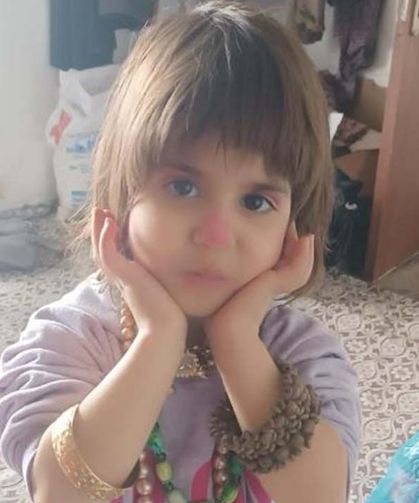 Hizan'da kaybolan 4 yaşındaki çocuk aranıyor