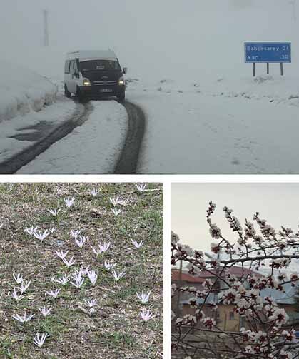 Van'da iki mevsim bir arada: Bir yanda bahar, diğer yanda kış