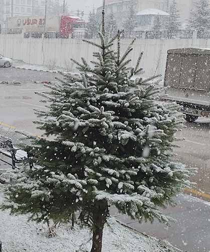 Van'da nisan ayında her yer beyaza büründü