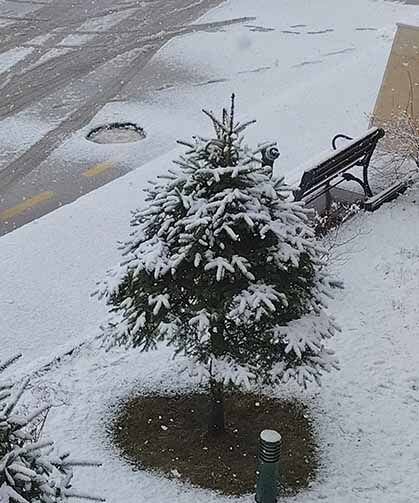 Erciş'te nisan ayında kar yağışı