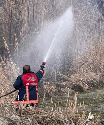 Van'da sazlık alanda yangın