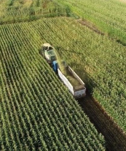 Tarlalardaki izinsiz yapılar bir ay içinde yıkılacak