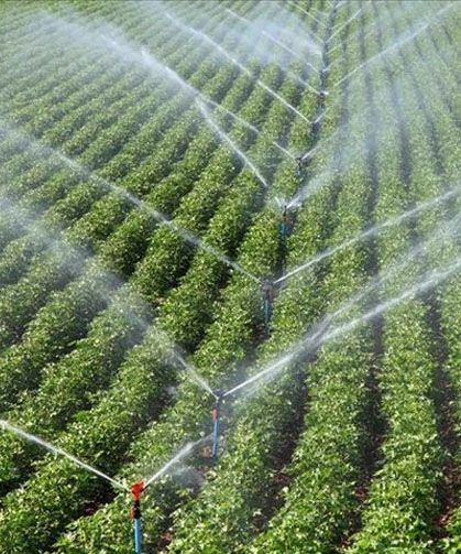 Bakanlık duyurdu: Yüzde 50 ile 70 arasında hibe desteği verilecek