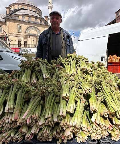Yüksekova’da ‘yayla muzu’ mesaisi başladı