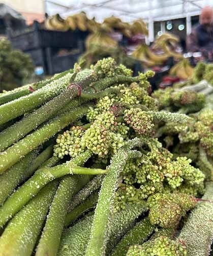Van'da yayla muzu uçkunun fiyatı dikkat çekti