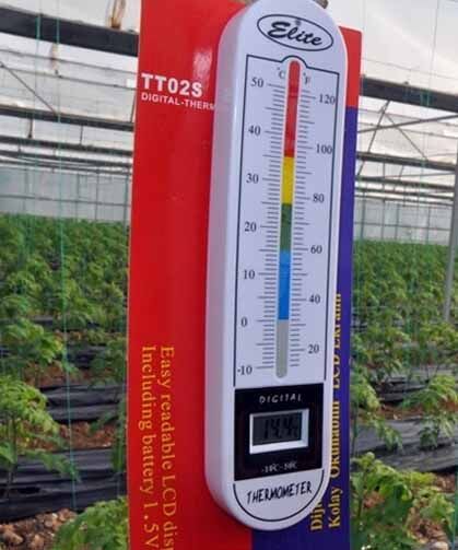 Zirai don uyarısı sonrası üreticiler tedbirlere odaklandı