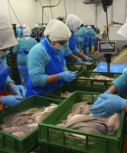 Türkiye 2,2 milyar dolarlık su ürünleri ihraç etti