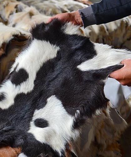Kurban derileri Türk deri sektörüne can suyu oluyor