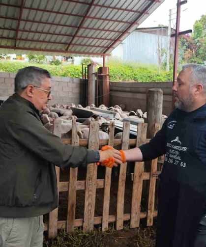 Kurbanlıklar satışa çıktı, pazarlıklar kızıştı