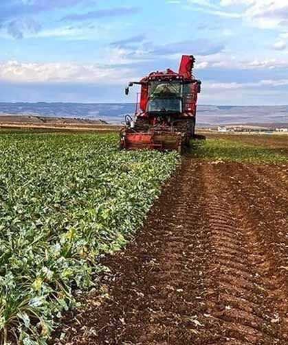 Çiftçilere yılın ilk çeyreğinde 35,6 milyar liralık destek ödemesi yapıldı