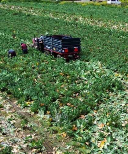 Bakan Yumaklı: Yaklaşık 3,75 milyar lira tarımsal destekleme ödemesi yapıldı