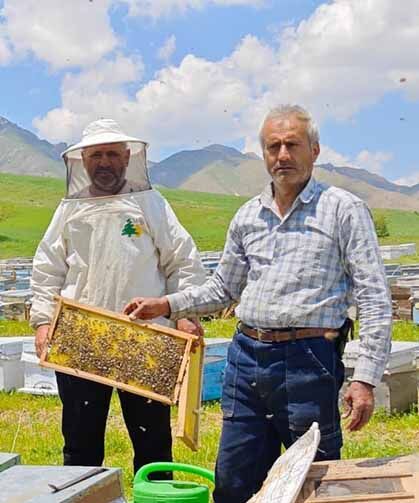 Bodrumlu arıcı, 5 yıldır Yüksekova'da bal hasadı yapıyor