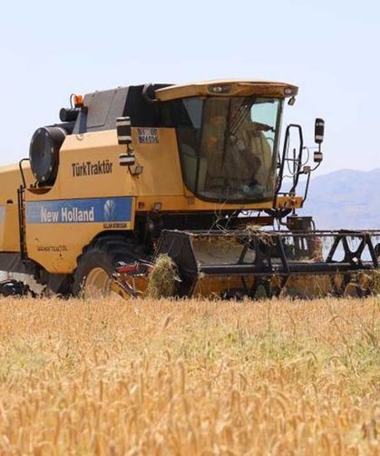 Yağışlar arpayı etkiledi