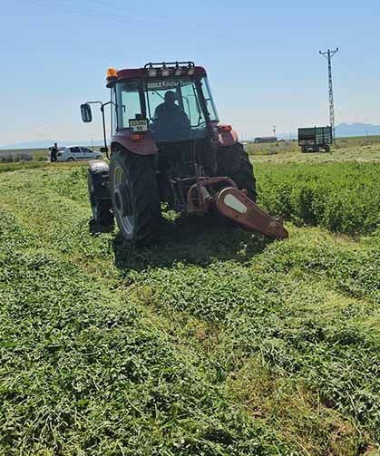 Adilcevaz'da ot biçme sezonu başladı