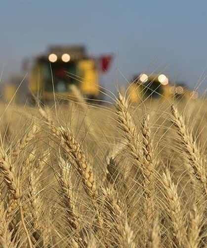 Tarımsal girdi fiyat endeksi  arttı