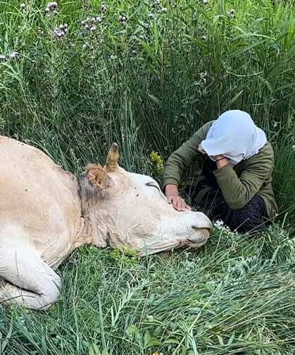 Yüksekova'da yürek yakan görüntü