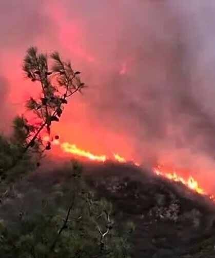 Antalya’nın Kaş ilçesinde orman yangını çıktı