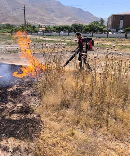 Van'da anız yangını