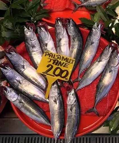 Denizlerde av yasağı sona eriyor