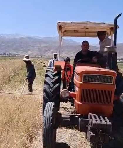 Yüksekova’da sıcak havaya rağmen hasat mesaisi başladı