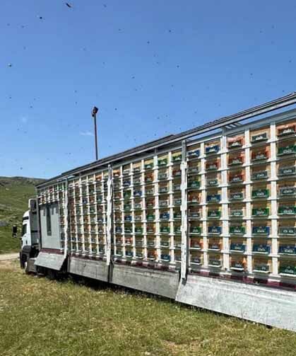 TIR dorsesini 'mobil bal üretim' tesisine dönüştürdü