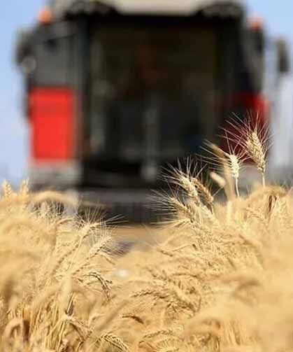 Küresel gıda fiyatları 3,5 yılın zirvesinde