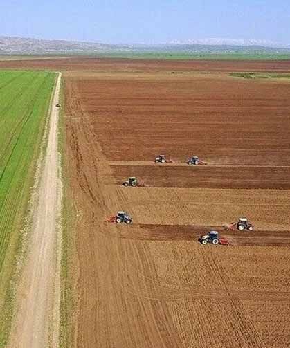Tarımsal girdi fiyat endeksi haziranda yıllık bazda arttı