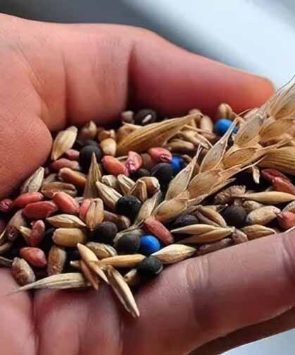 Türk tohumculuğu Asya ile Avrupa arasında büyüyor