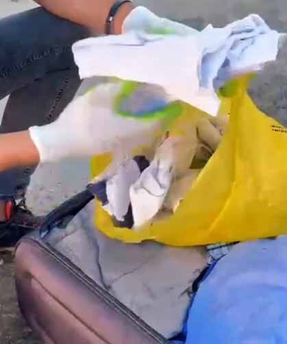 Zehir tacirlerine darbe: 13 kilo metamfetamin ele geçirildi