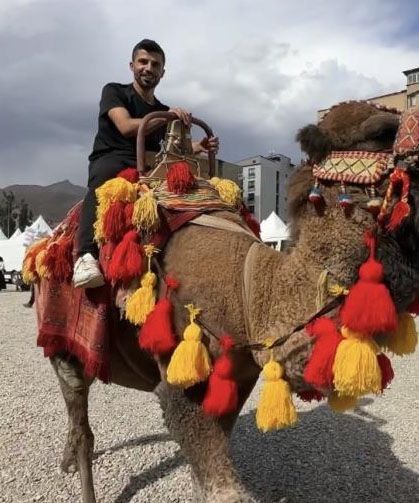 Yüksekova’ya getirilen develer ve midilli atları ilgi gördü