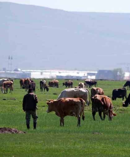 Tarımda üreticilere destekleme çağrısı