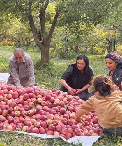 Devlet desteğiyle kurduğu bahçede 15 yıldır elma üretiyor