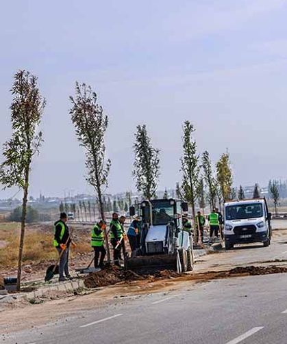 Van Gölü Sahil Yolu’nda ağaçlandırma çalışmaları